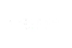 vivogaming (8 игр)