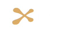 xprogaming (16 игр)